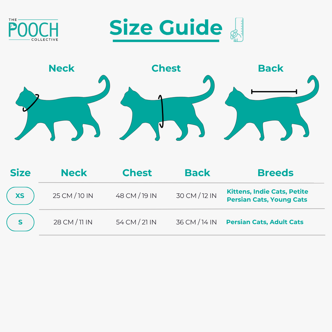 Cookies & Cuddles Bundle & Save ( Cat + Hooman )