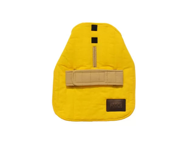 5coat-600x488