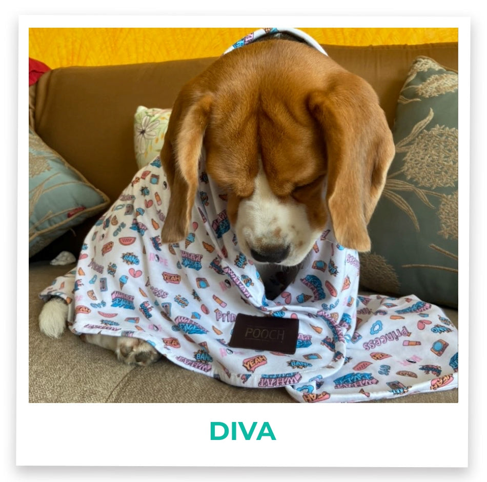 Diva