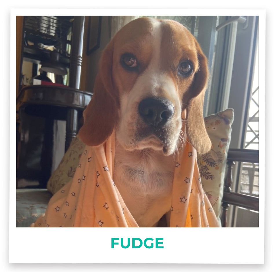 Fudge