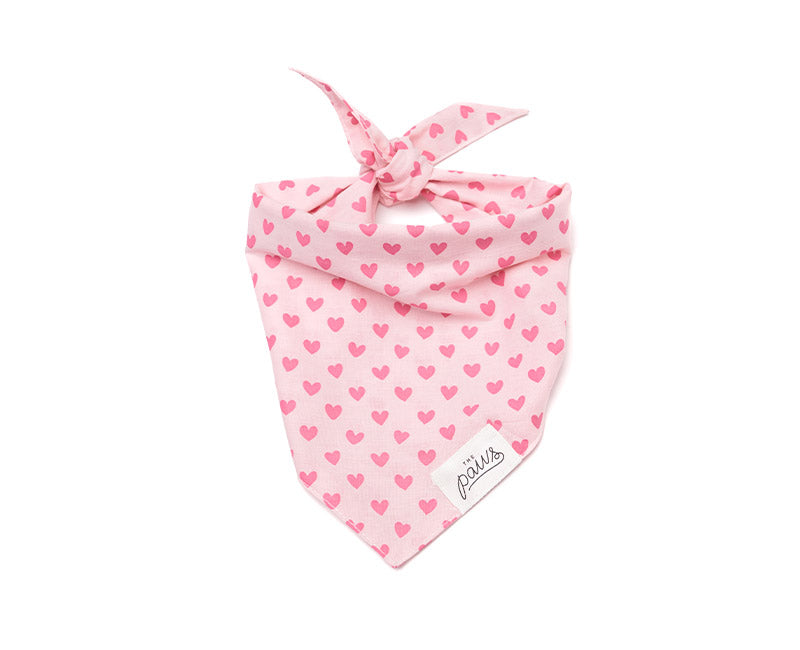 Miss-Muffy-Bandana