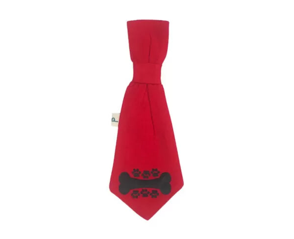 Tie2-600x488