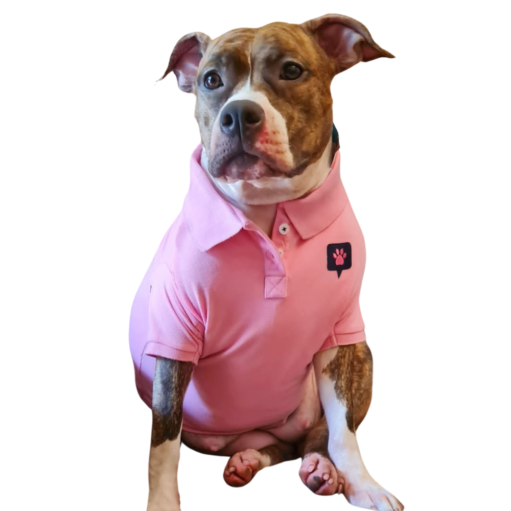 Strawberry Shortcake Polo