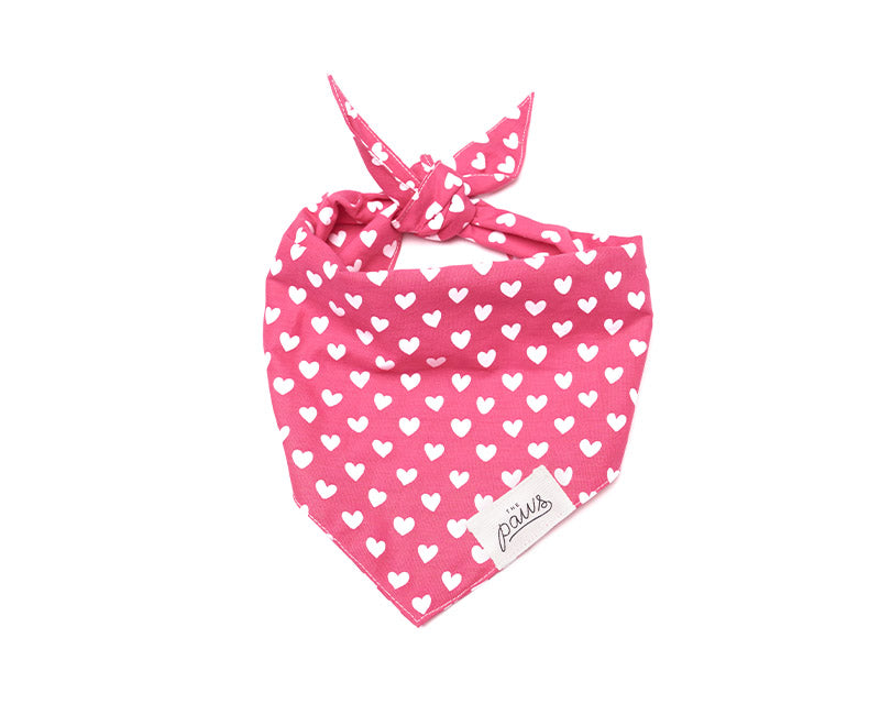 Whole-Lotta-Love-Bandana