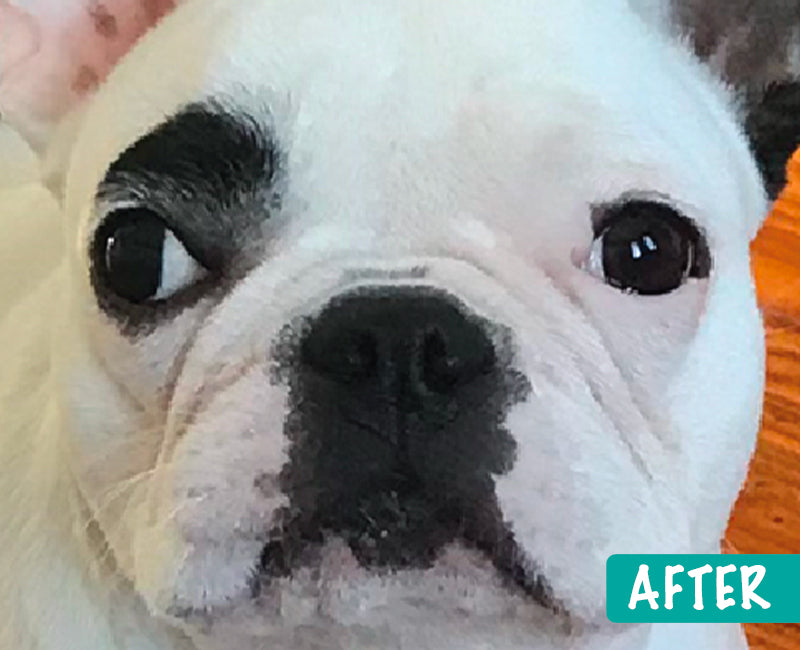 wrinklebalm-after