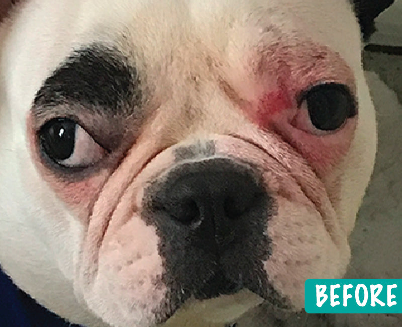 wrinklebalm-before