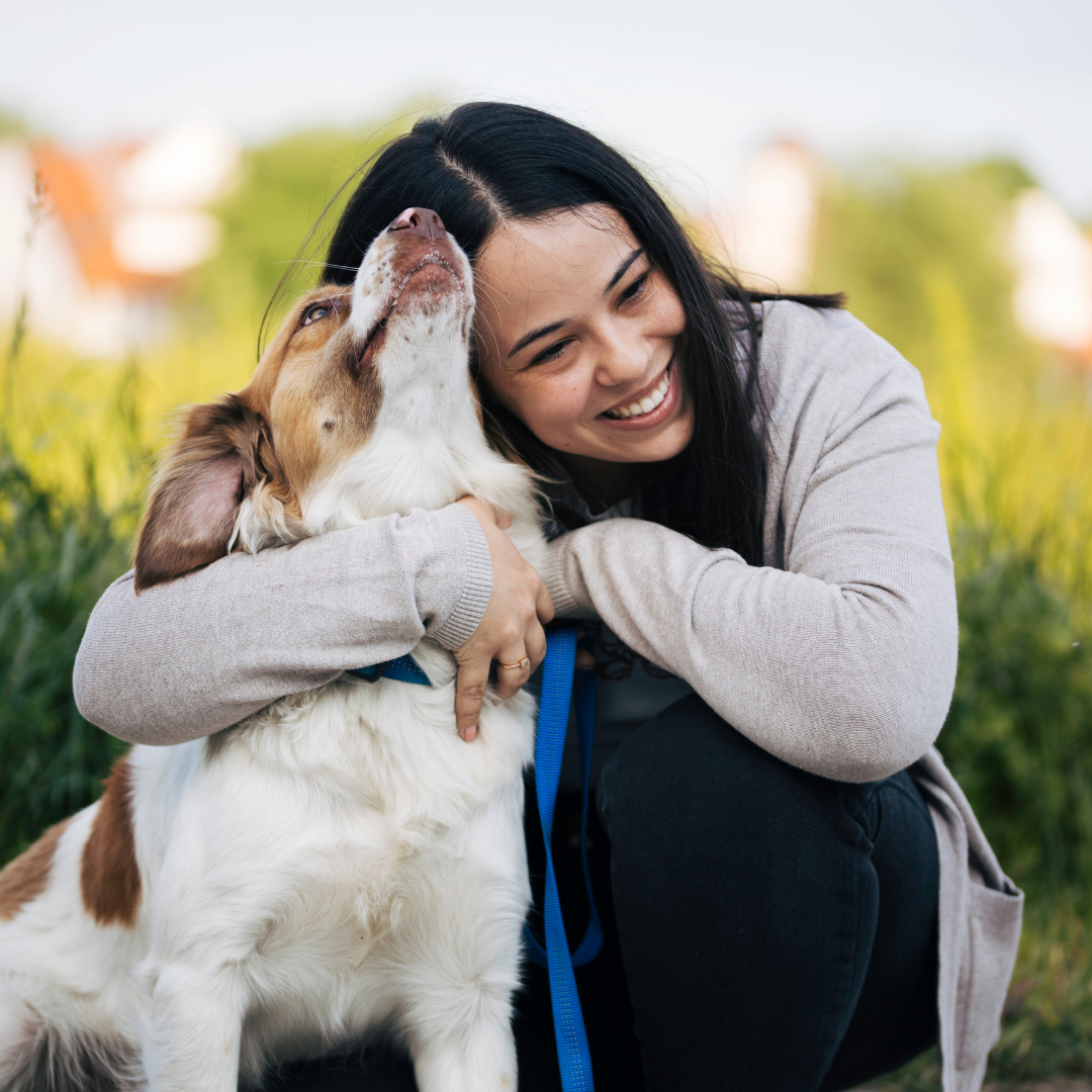 More Than Just a Pet: Why Our Dogs Feel Like Home
