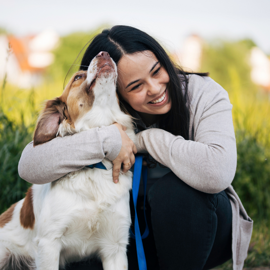 More Than Just a Pet: Why Our Dogs Feel Like Home