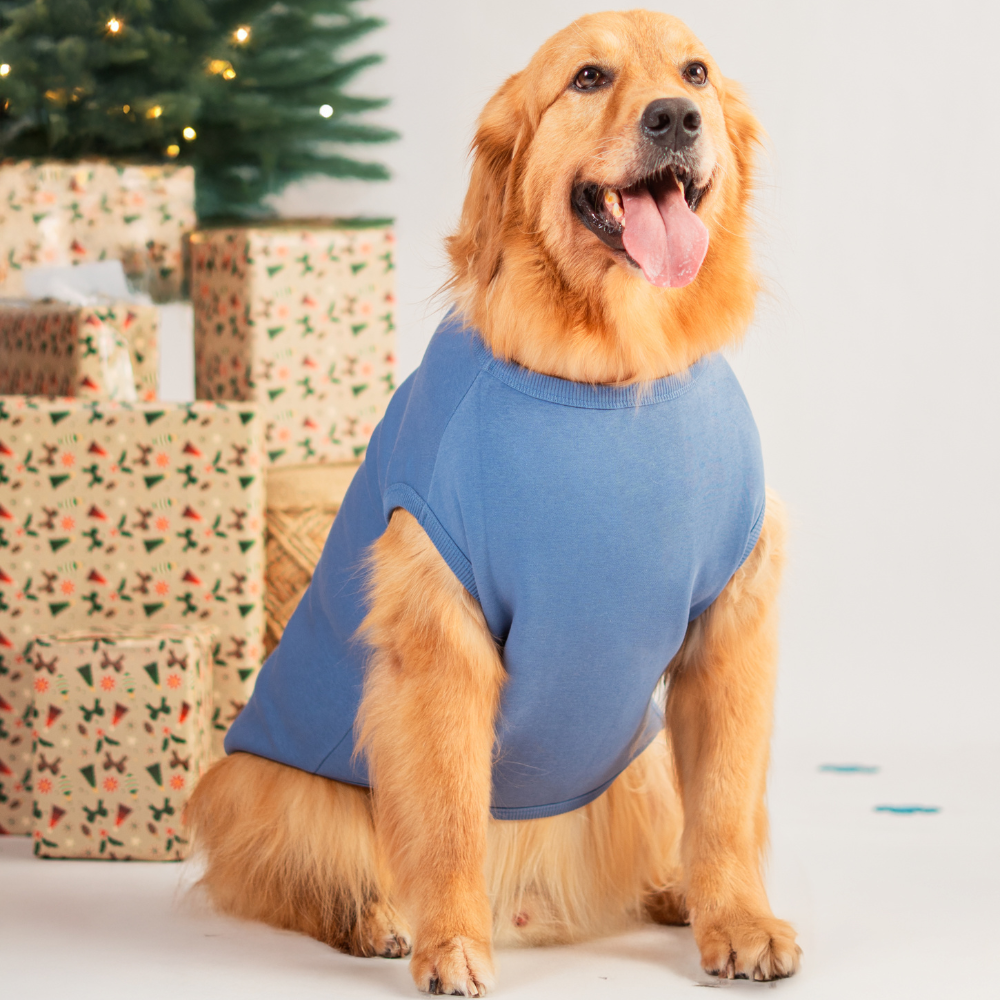 Cookies & Cuddles Dog Fleece Sweatshirt