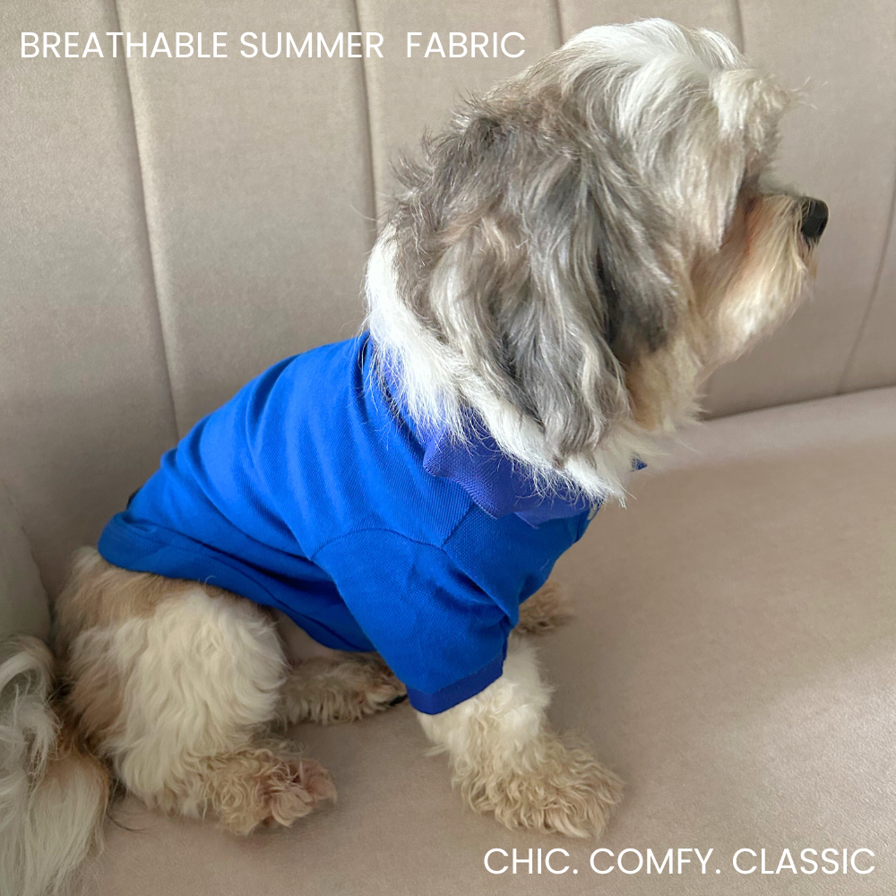 Barely Bougie Polo T-Shirt - Royal Blue