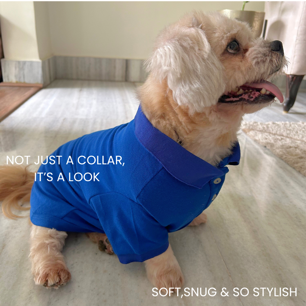 Barely Bougie Polo T-Shirt - Royal Blue