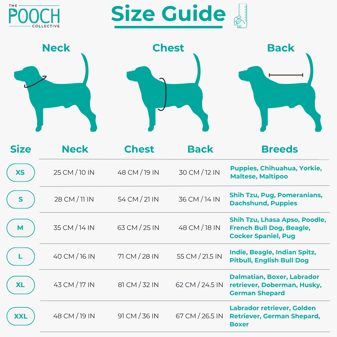 Barely Bougie Polo T-Shirt - Red