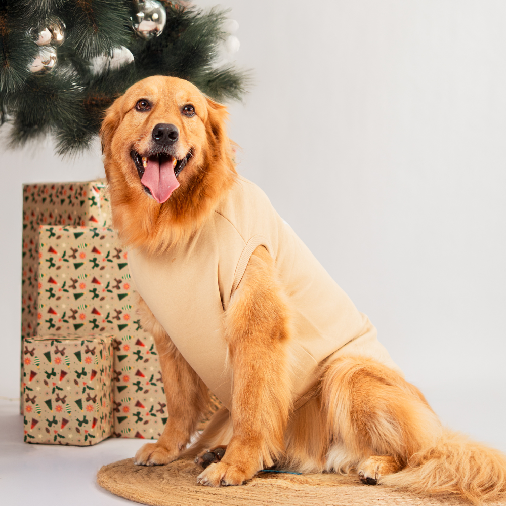 Snow Cute Dog Fleece Sweatshirt