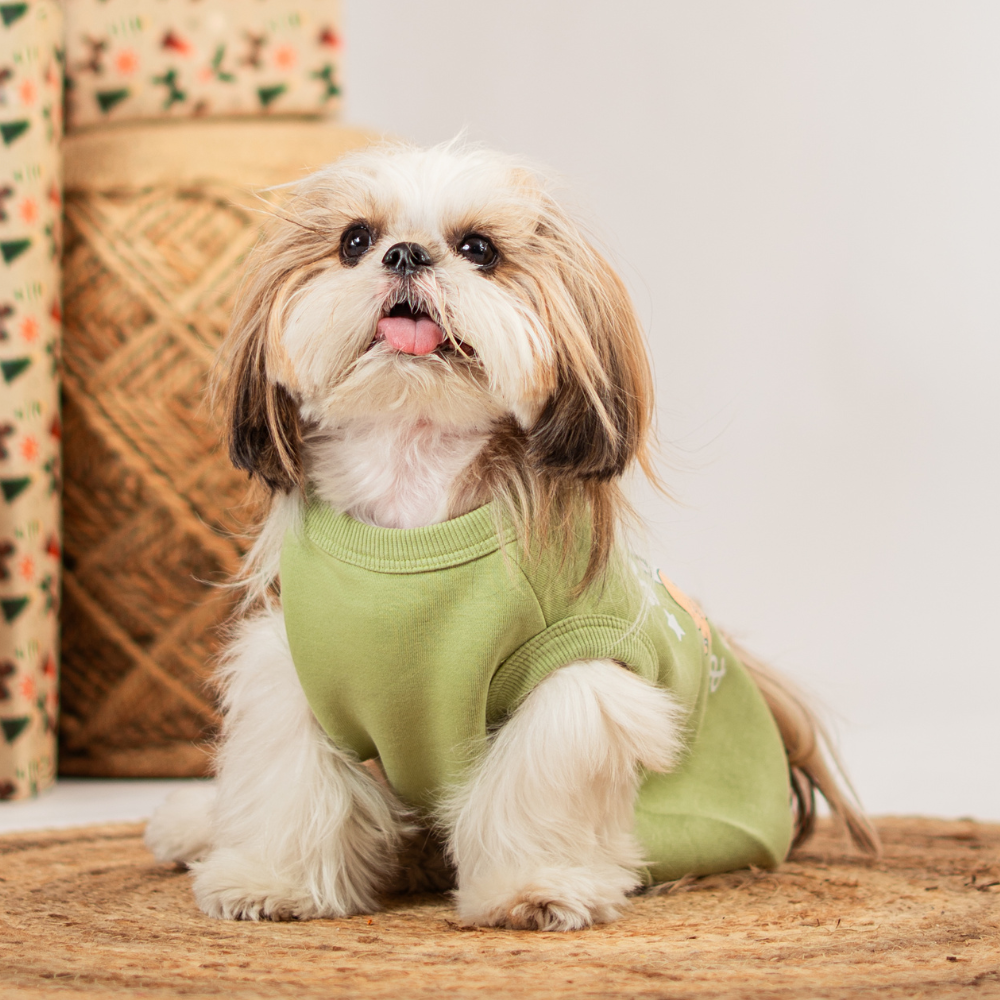 Hot Cocoa Cozy Vibes Dog Fleece Sweatshirt