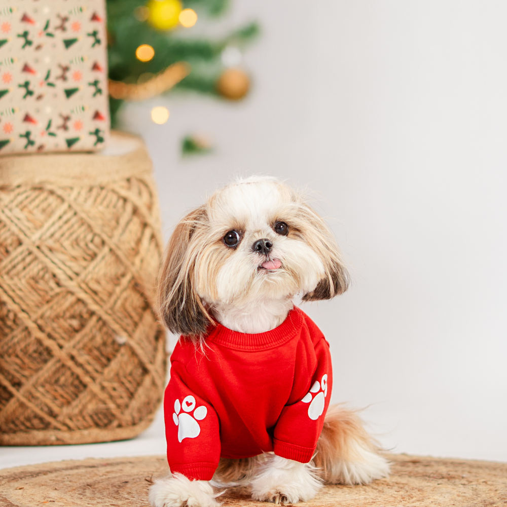 Snuggle SZN Dog Fleece Sweatshirt