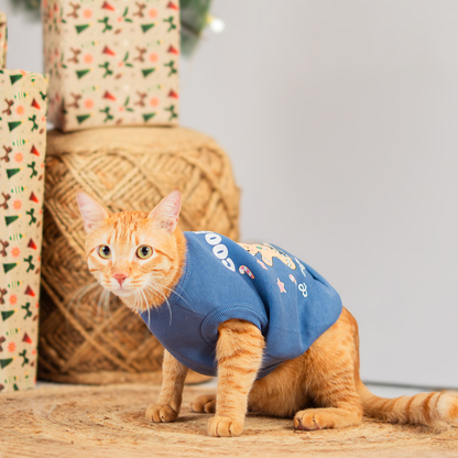 Cookies & Cuddles Bundle & Save ( Cat + Hooman )