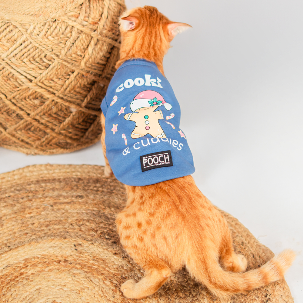 Cookies & Cuddles Bundle & Save ( Cat + Hooman )