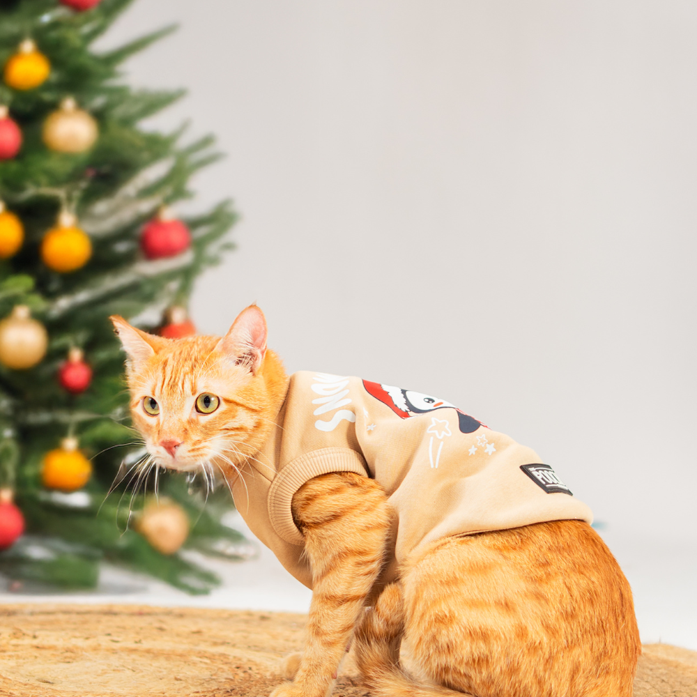 Snow Cute Cat Fleece Sweatshirt