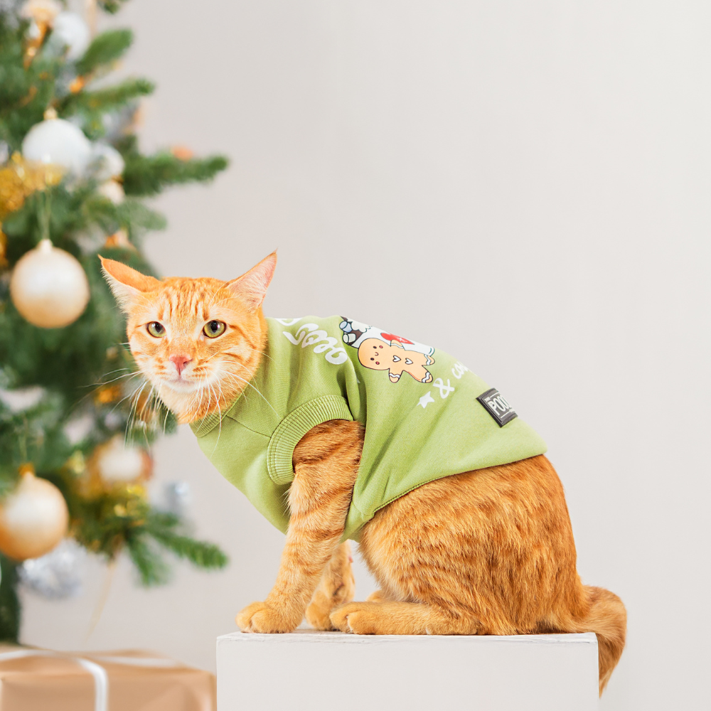 Hot Cocoa Cosy Vibes Bundle & Save ( Cat + Hooman )