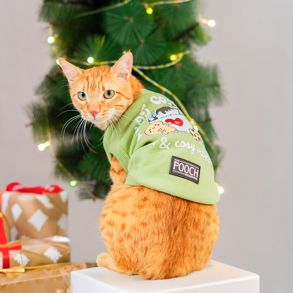 Hot Cocoa Cosy Vibes Bundle & Save ( Cat + Hooman )