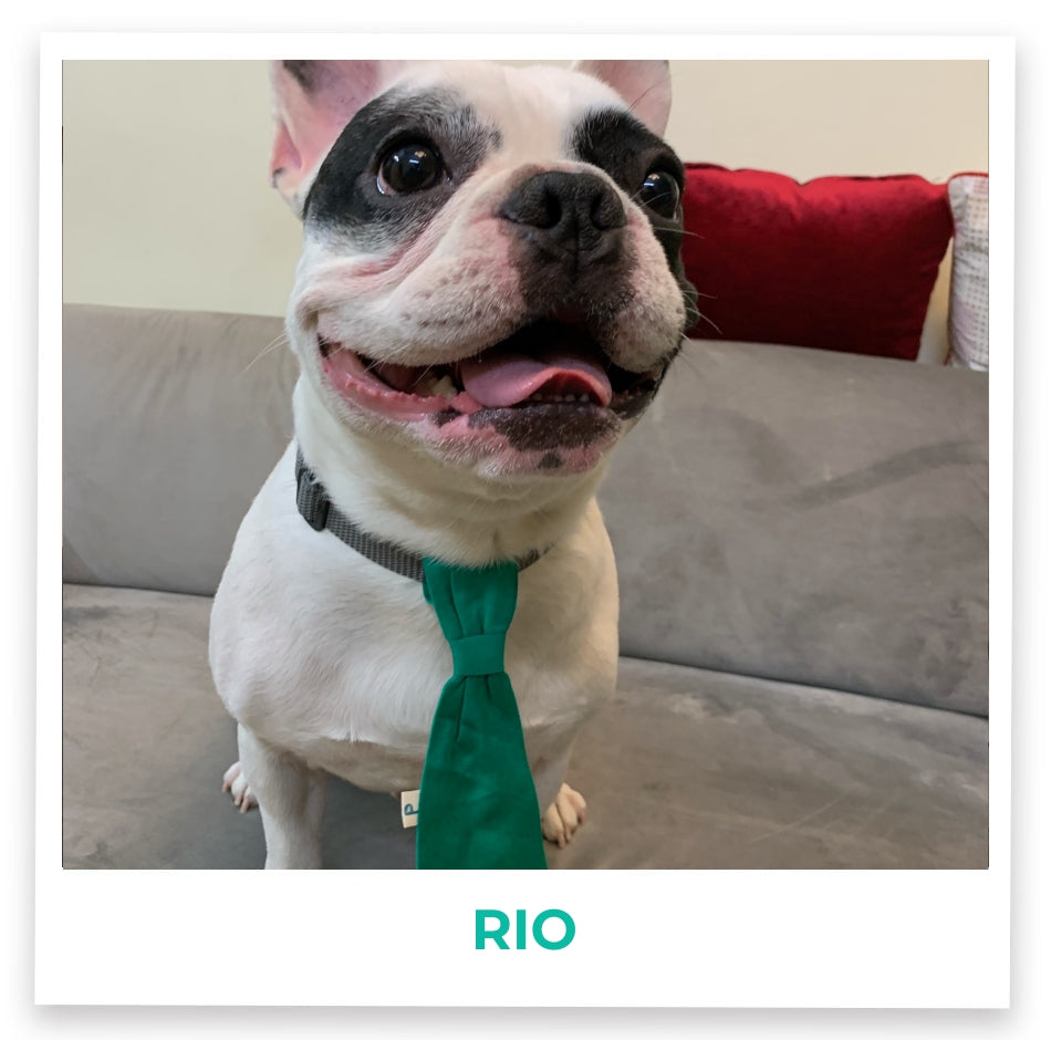 Rio