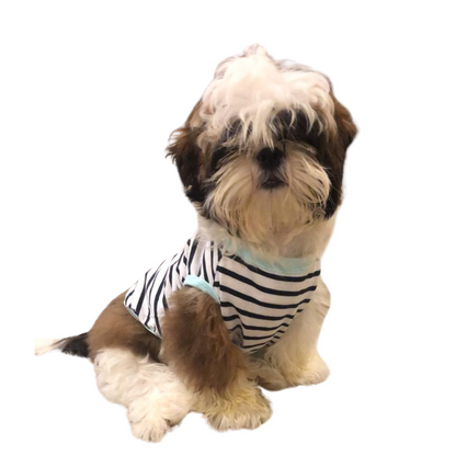 Aqua Striped Dog Tank